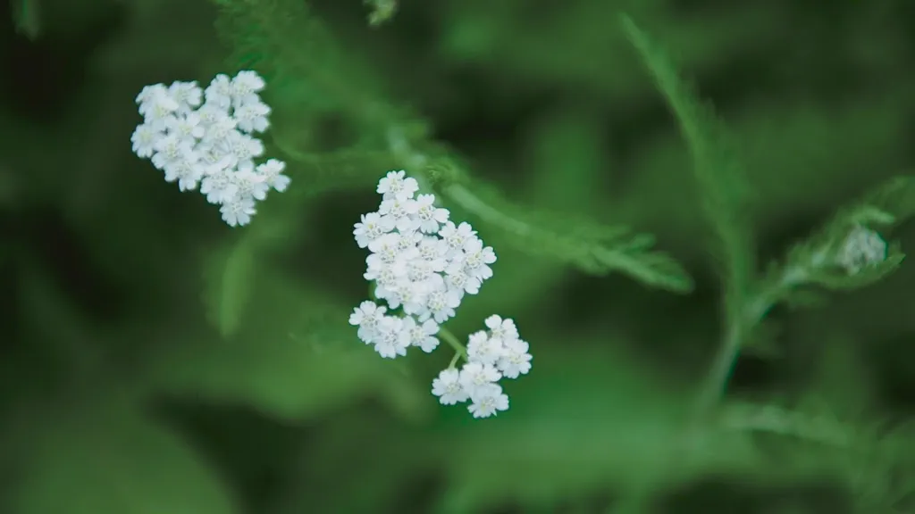 Restaurant Bar Rienz_Braies_slider_image_2