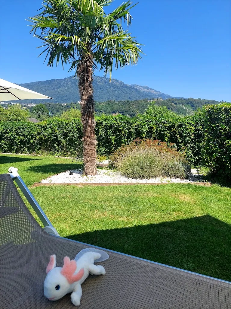 Artem_Gelateria Bellavista_Calceranica al Lago_reseña