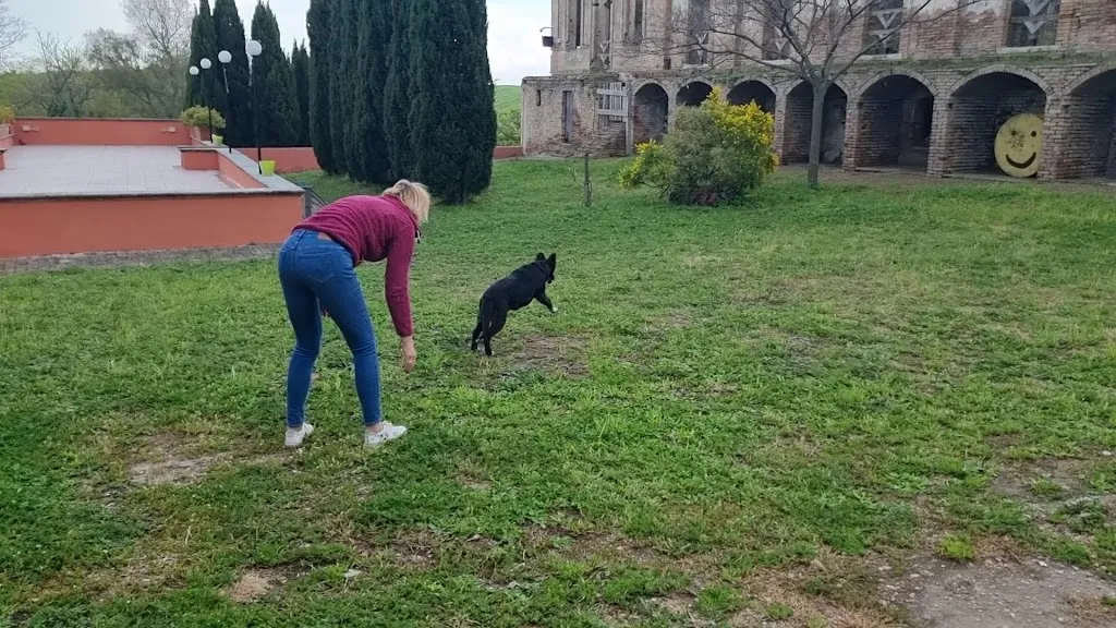 Samo Kokošinek_Masseria Sant'Agapito - A Rural Odyssey_Lucera_review