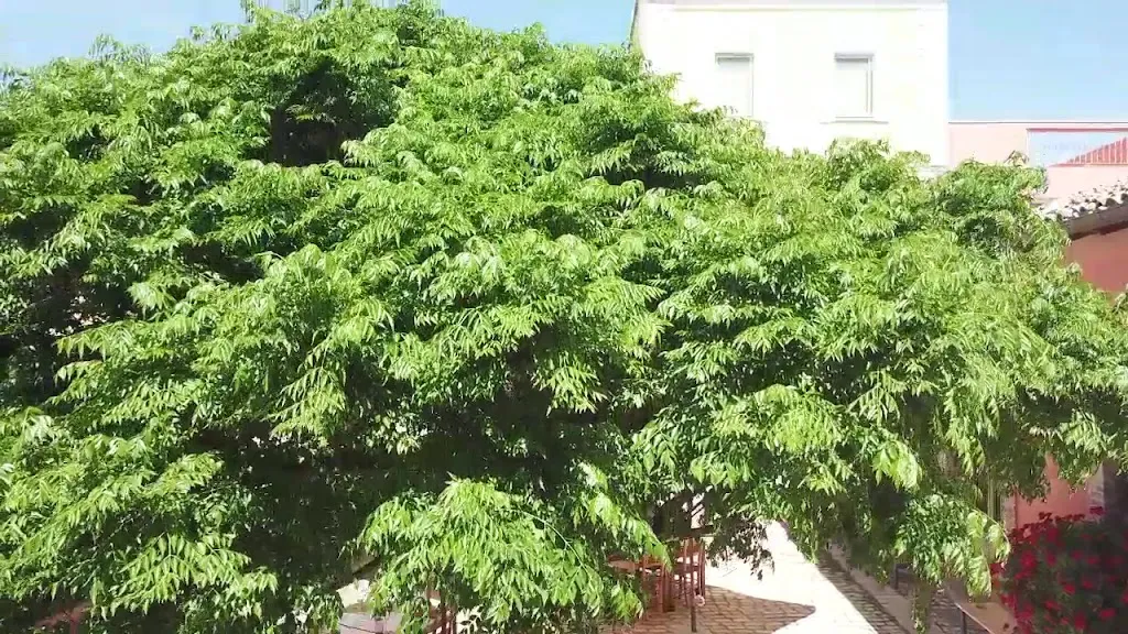 Masseria Sant'Agapito - A Rural Odyssey_Lucera_slider_image_2