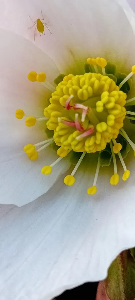 Ml avc_Ristorante Pizzeria AL SOLE_Caldonazzo_review