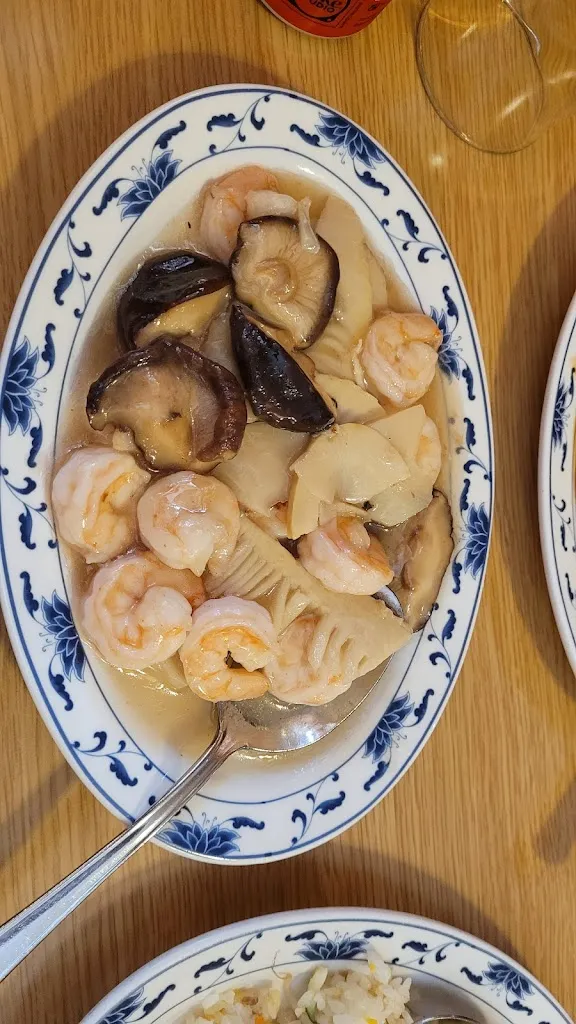 Suchandra Sen_Bella Cina_Brunico_review