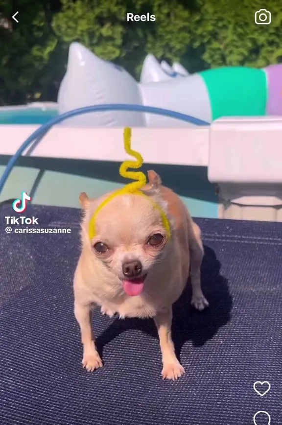 Fermento | tra vino e cucina | restaurant in Lucera