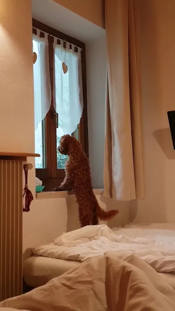 Villa Ruggero Wine Hotel_Campitello di Fassa_slider_image_2