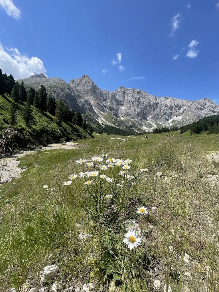 betina workman_Rifugio Micheluzzi_Campitello di Fassa_review