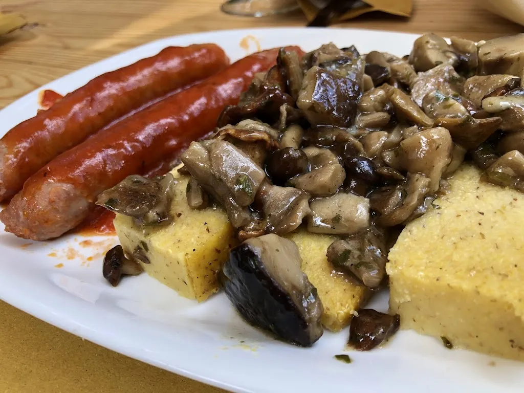 Mihaela Morari_PICNIC ORSO BRUNO_Campodenno_review