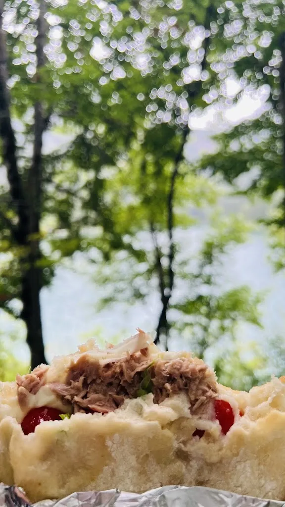 Haroon Chaudhry_PICNIC ORSO BRUNO_Campodenno_review