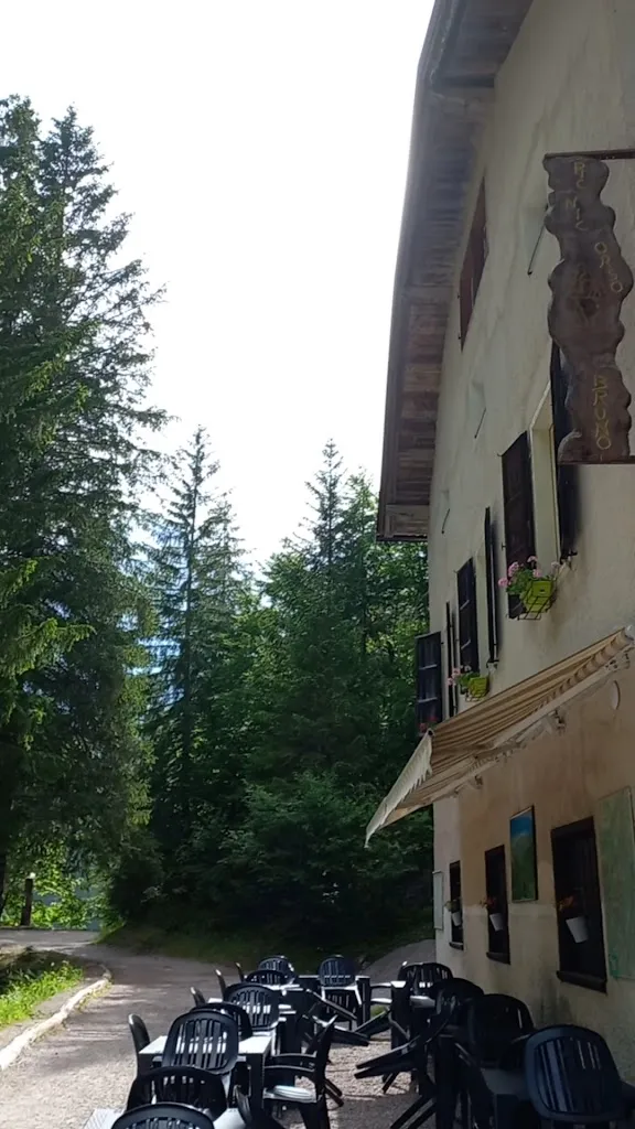 PICNIC ORSO BRUNO_Campodenno_slider_image_2