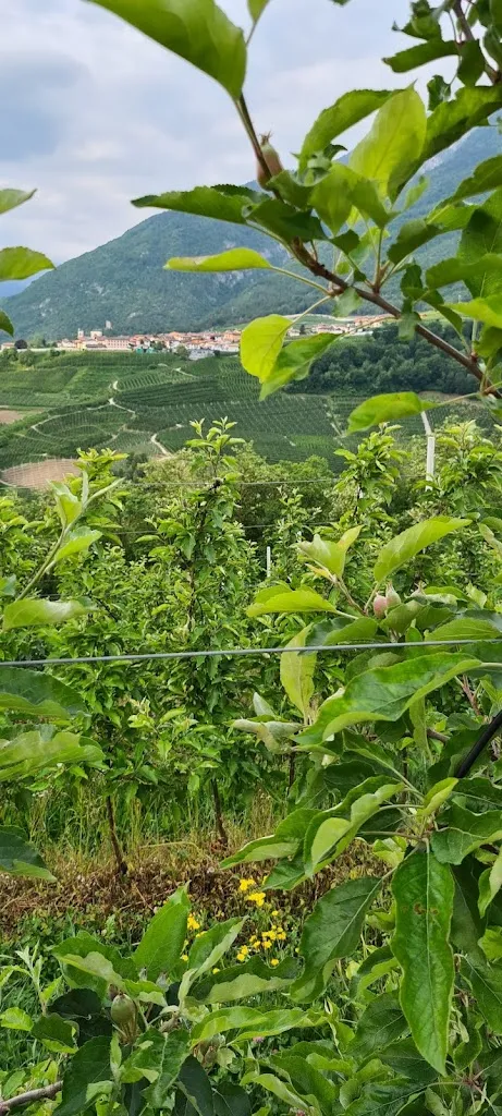 שושי גורן_B&b Al Trifoglio_Campodenno_review