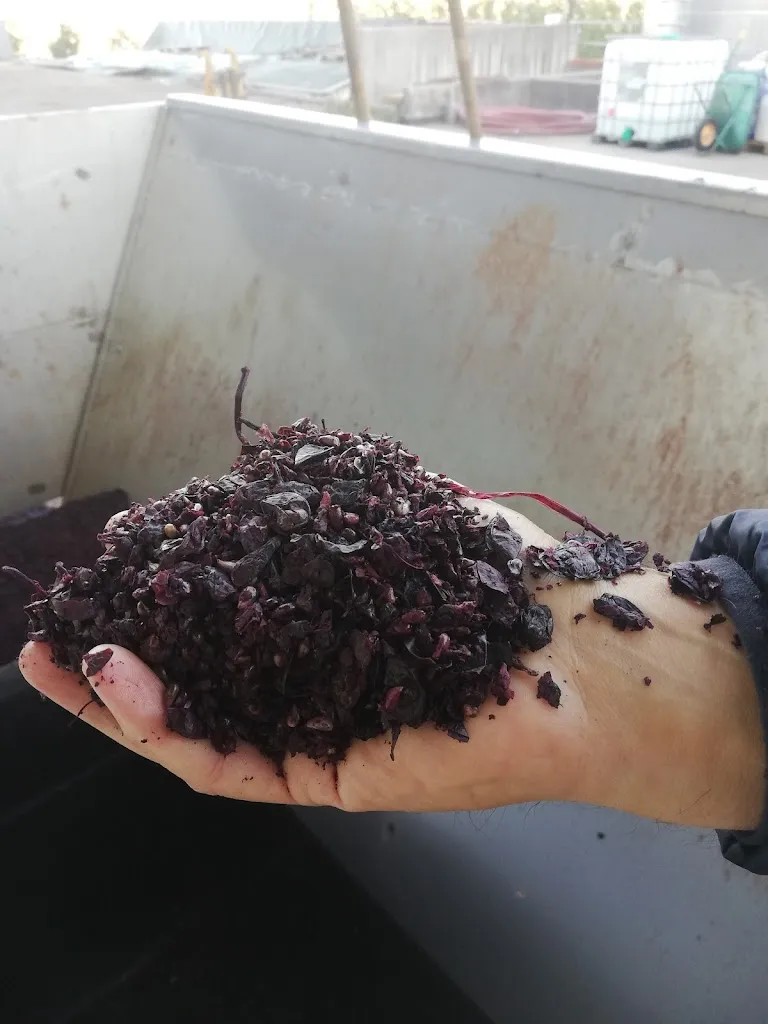 Lamberto Funghi_Distilleria Pezzi_Campodenno_review