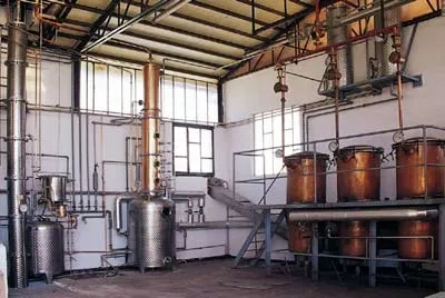 Distilleria Pezzi restaurant in Campodenno