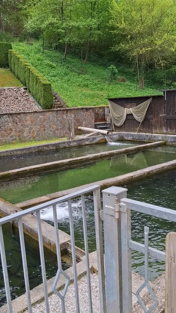 Baita Marnara Maso Milano Ristorante_Campodenno_slider_image_2