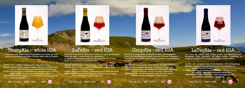 Menu_Km8 Birrificio & Brewpub_Campodenno_image_4