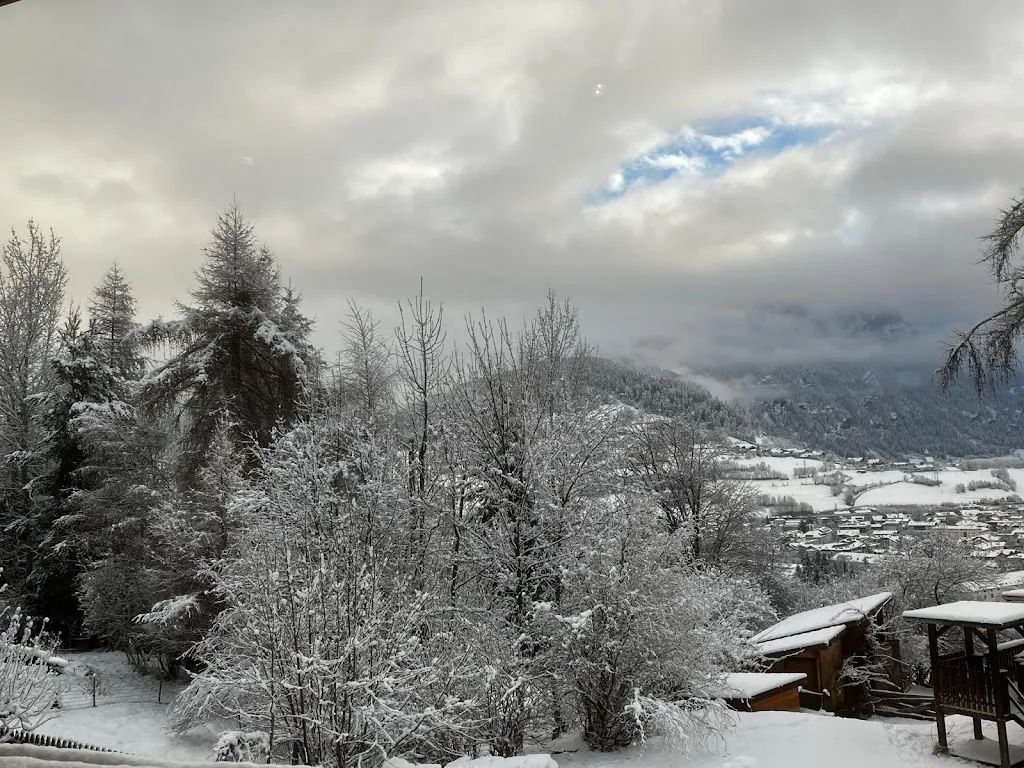 Natalia Borkowska-Dorn_Hotel - Restaurant - Pizzeria Thuinerwaldele_Campo di Trens_review