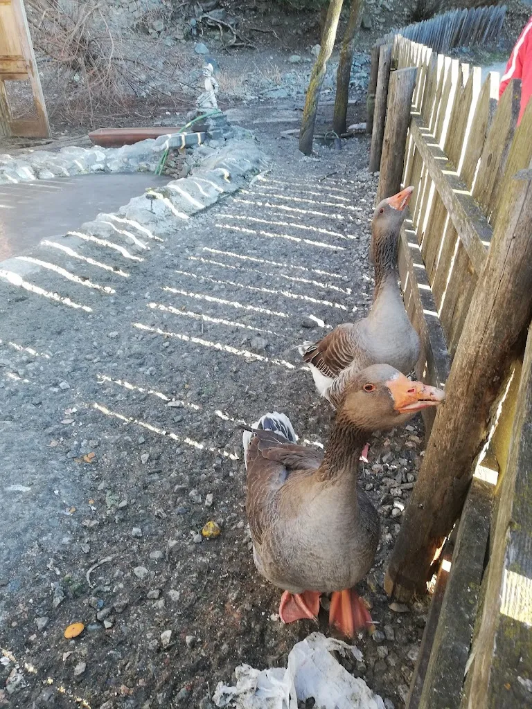 Albergo Burgfrieden_Campo di Trens_slider_image_1