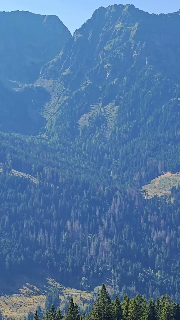 giovanni_Malga Fossernica di Dentro_Canal San Bovo_review