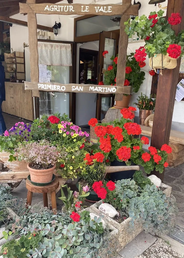 Francesca Neroni_Agritur le Vale-Ristorante-Alloggio-Azienda Agricola_Canal San Bovo_review