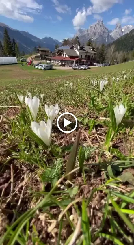 Agritur le Vale-Ristorante-Alloggio-Azienda Agricola_Canal San Bovo_slider_image_2