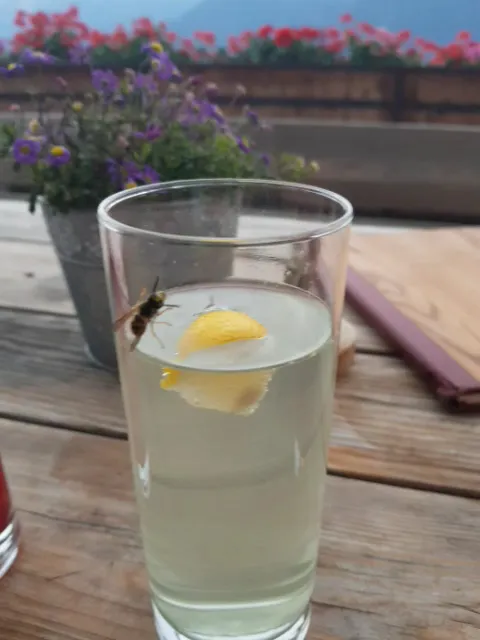 Kaserer Reinhard_Castelbello_slider_image_2