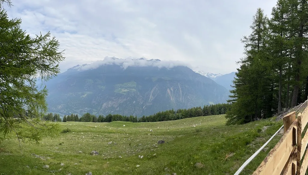 Patric Naas_Zirmtal Alm_Castelbello_review