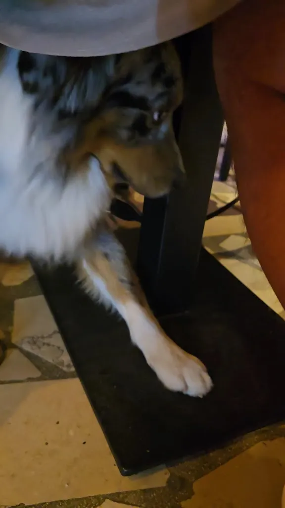 Victor_La Greppia del Frate_Locorotondo_review