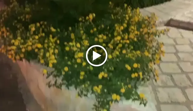 La Greppia del Frate_Locorotondo_slider_image_2