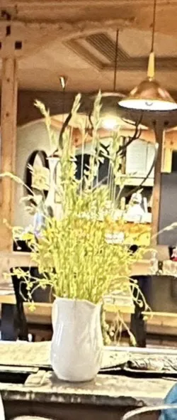 Prithep Sosothikul_Restaurant Pizzeria Hase_Campo Tures_review