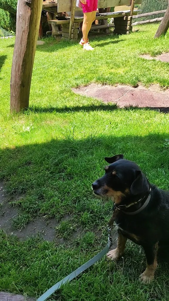 Hofschänke Eder_Campo Tures_slider_image_2