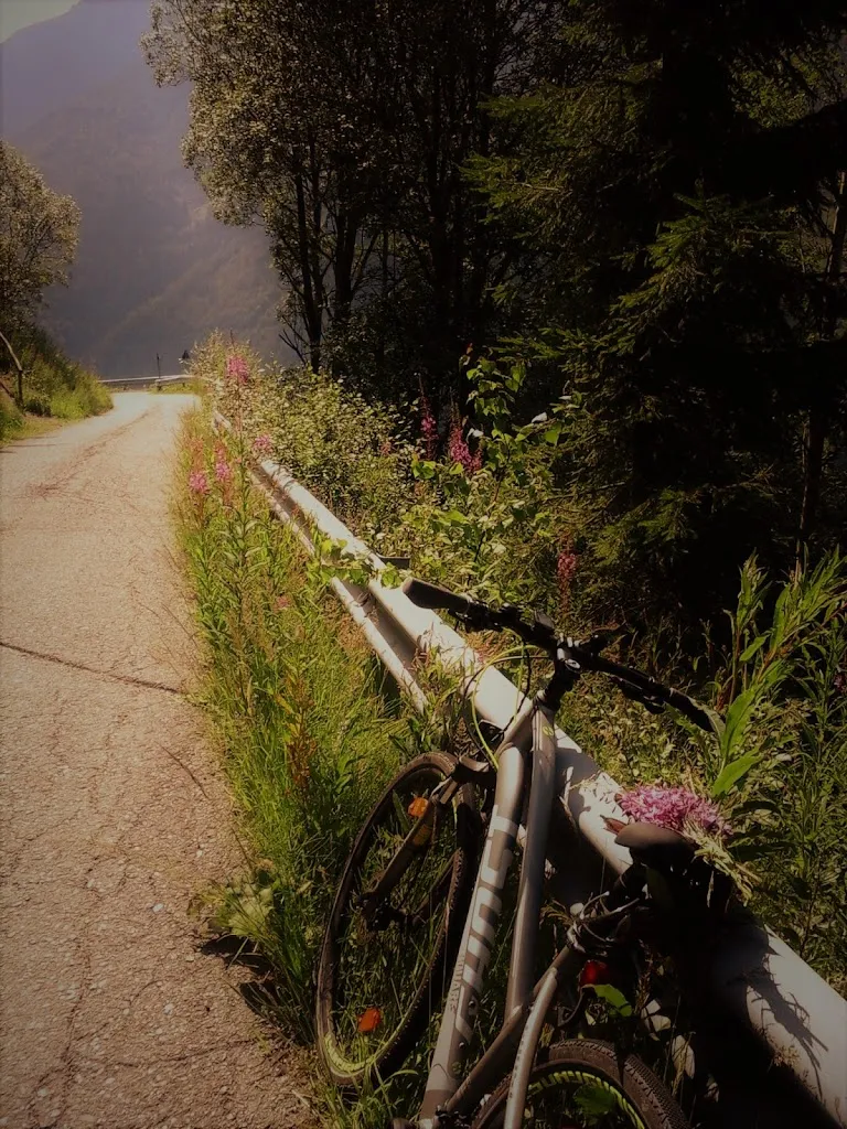 Karina Kredatus_Niederhofer Alm_Campo Tures_review