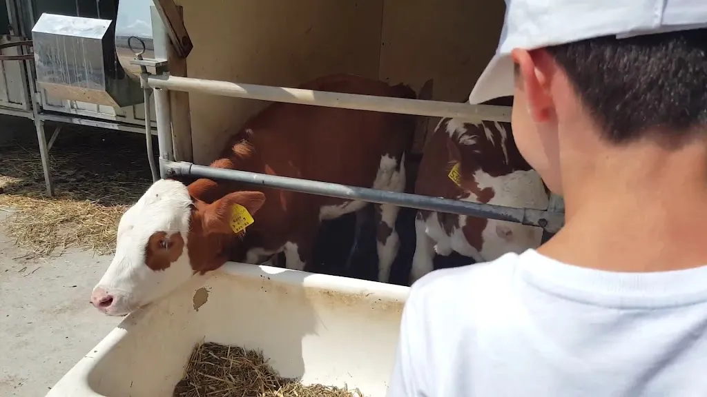 Agriturismo Maso Sorte_Castello Molina di Fiemme_slider_image_2