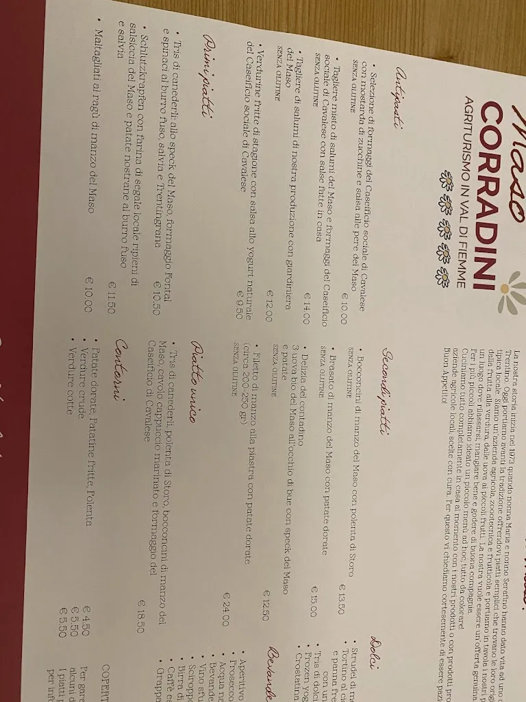 Afsheen Khosraviani_Ristorante Maso Corradini_Castello Molina di Fiemme_review