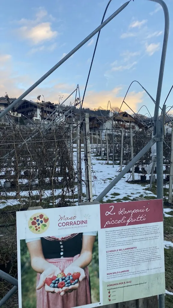 Lacey deVries_Agriturismo Maso Corradini_Castello Molina di Fiemme_review