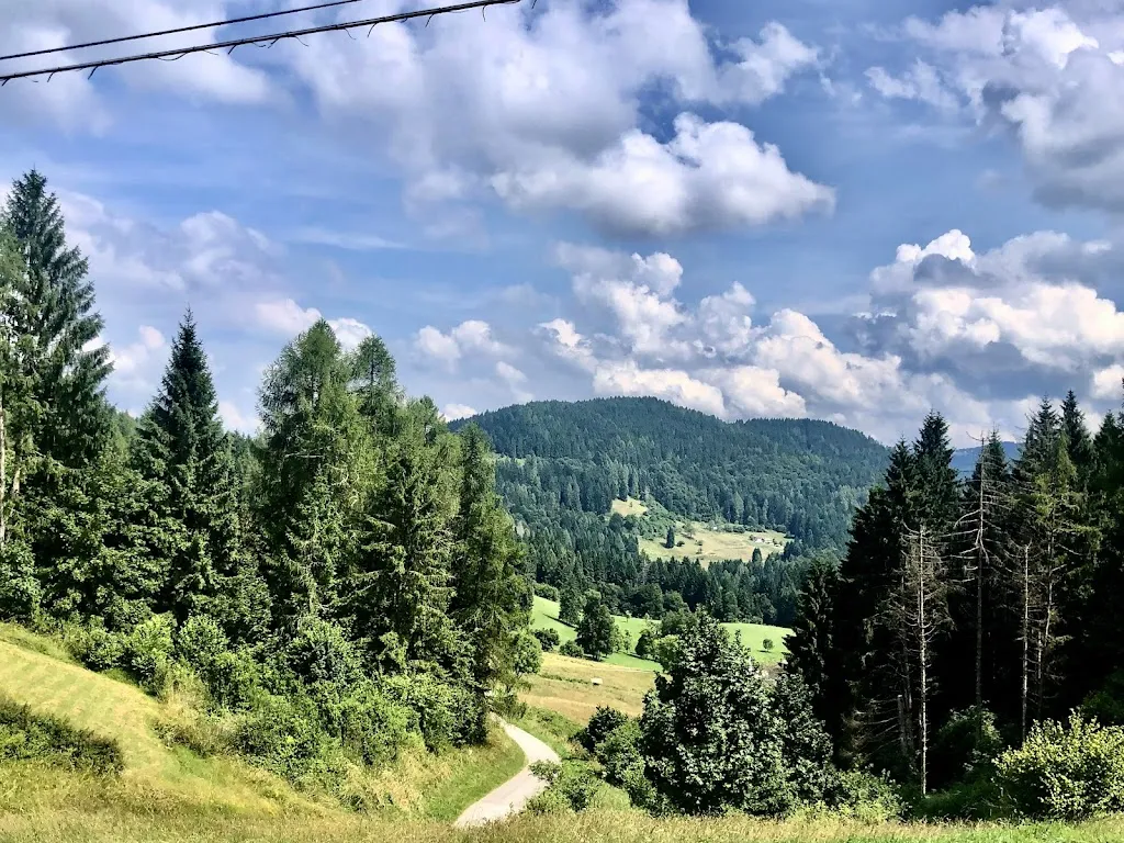 Fabio Pastore_Ai Larici_Castello Tesino_recensione