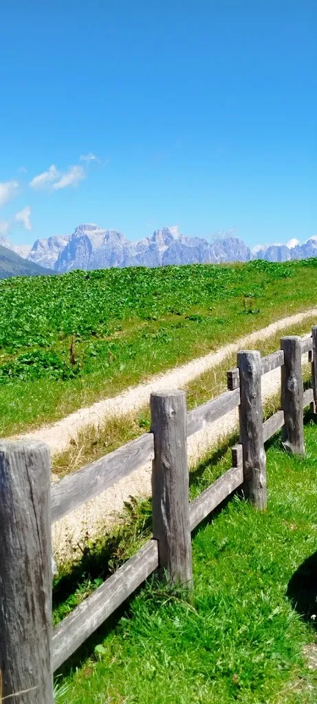 Roberto Gamberoni_Agritur Malga Arpaco_Castello Tesino_recensione