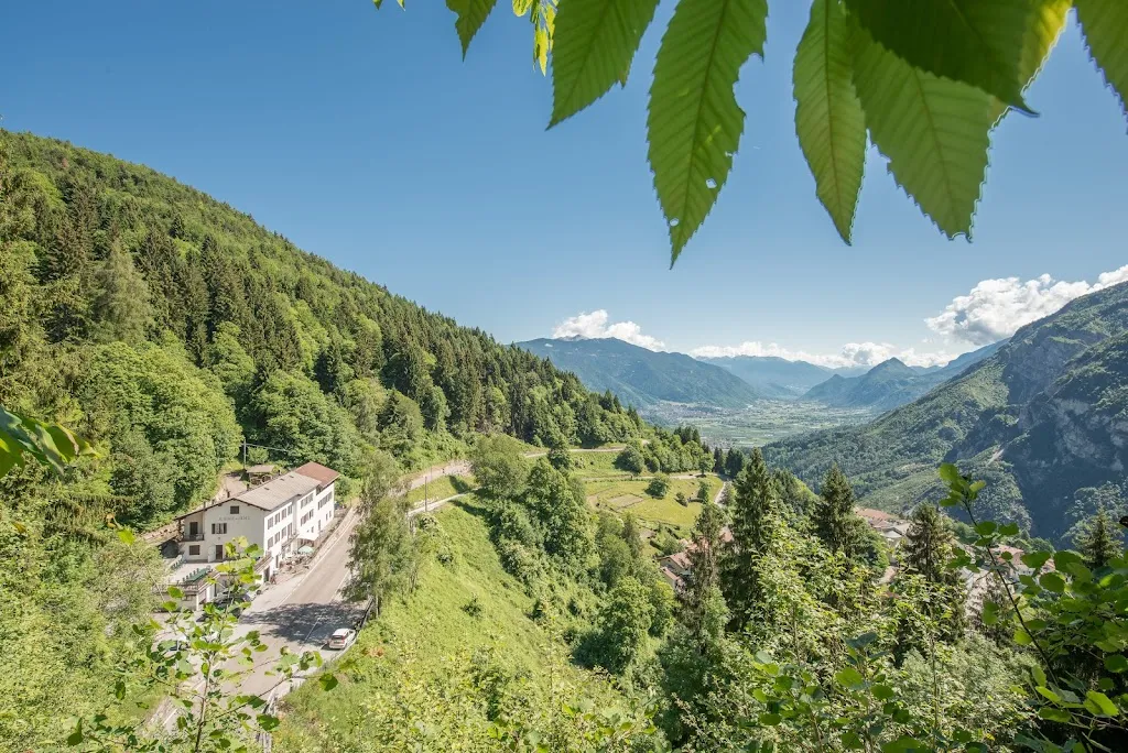 albergo AL BOSCO_Centa San Nicolò_slider_image_3