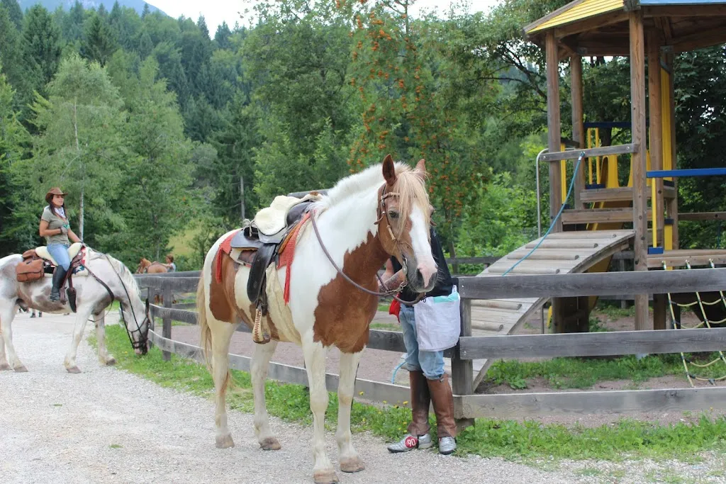 Rifugio Paludei_Centa San Nicolò_slider_image_3