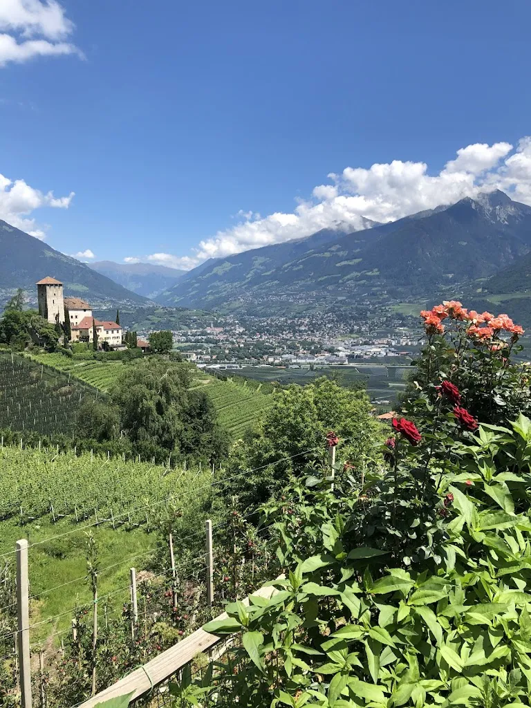 Valeria Gangrskaia_Buschenschank Weingut Haidenhof_Cermes_review