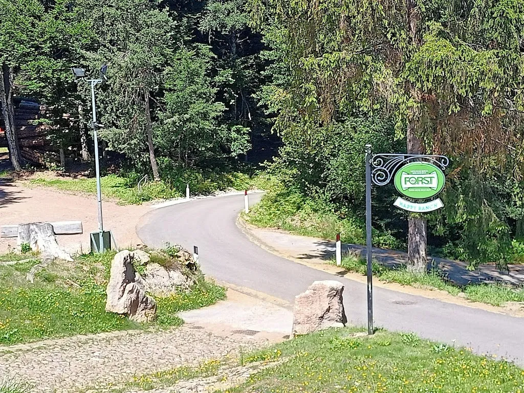 Consuello Vallotto_Happy Ranch_Cembra_review