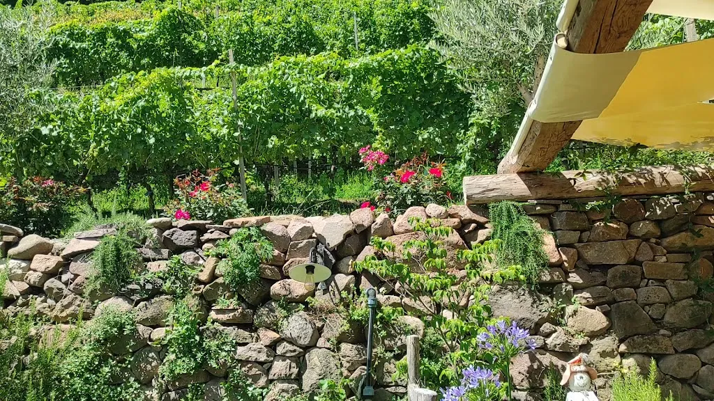 Agritur Maso Valfraja_Cembra_slider_image_2