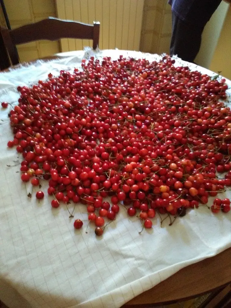 Menu_Eden Cafè Pizzeria Ristorante_Castelnuovo Vomano_image_8