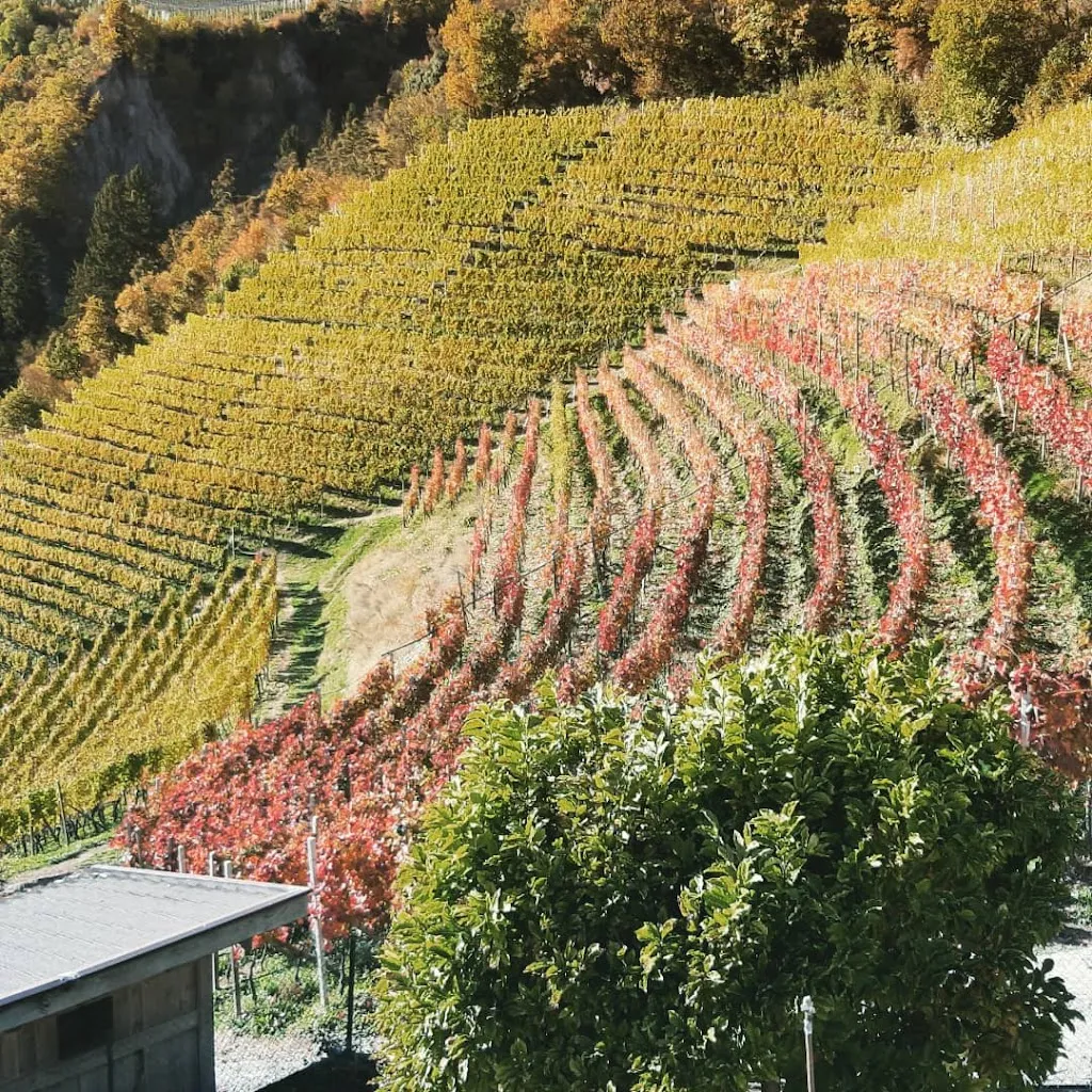 Simona Minotti_Hienghof_Chiusa_review