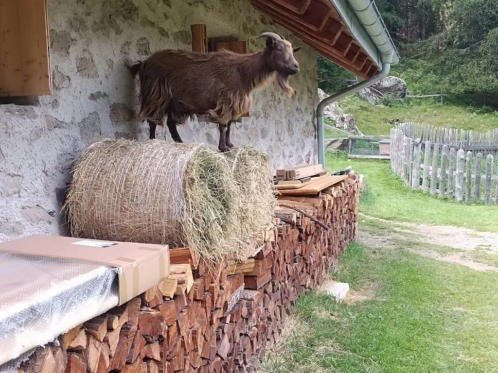 Torek Morek_Malga Frattasecca_Cogolo_review