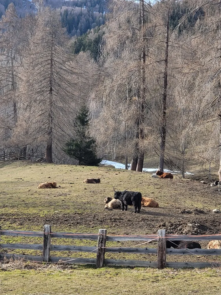 Kate Grigorova_Baita 3 Larici_Cogolo_review