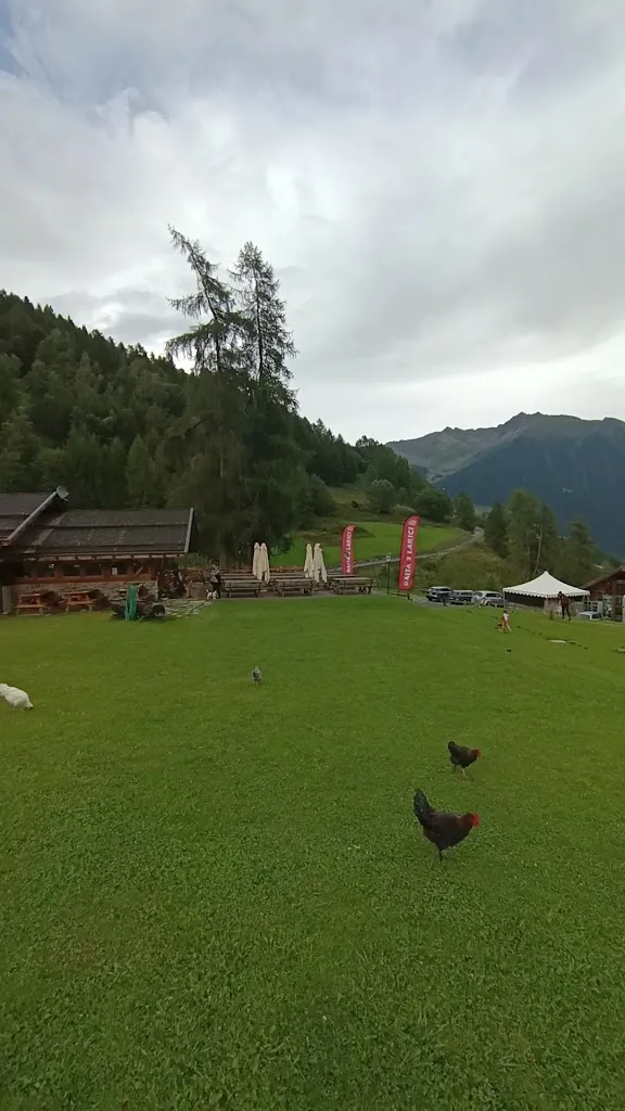 Baita 3 Larici_Cogolo_slider_image_2