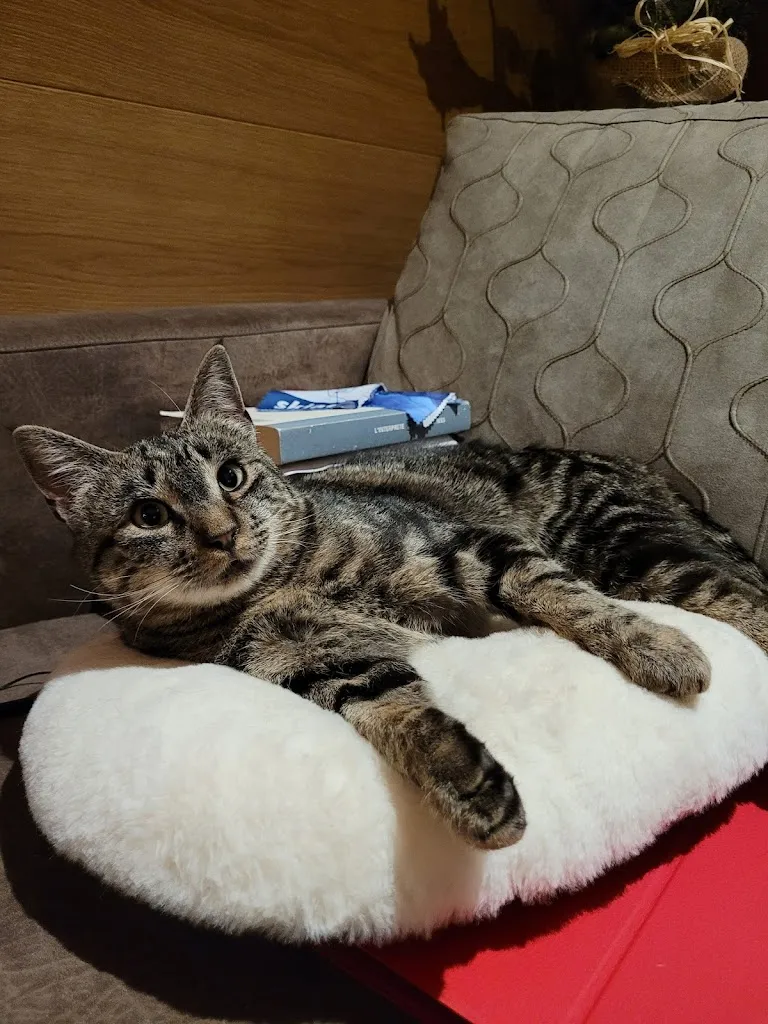 Katarzyna Hernik_Hotel Cevedale - Val di Sole_Cogolo_review