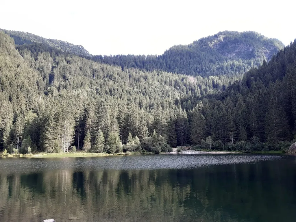 Cesare Fani_Ristorante Chalet Lago dei Caprioli_Cogolo_review