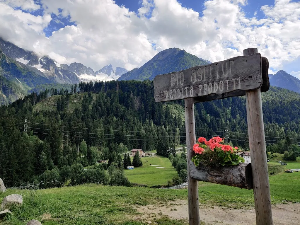 A G_Bio Agritur Maso Celesta_Cogolo_review