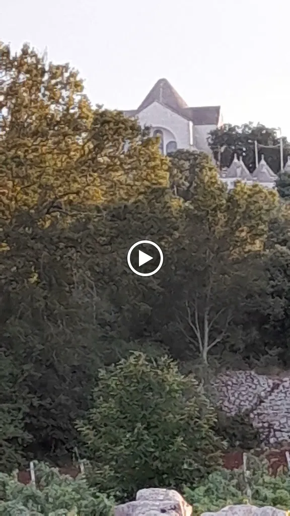 L'Arco Antico - Ristorante Pizzeria carne alla brace_Locorotondo_slider_image_2