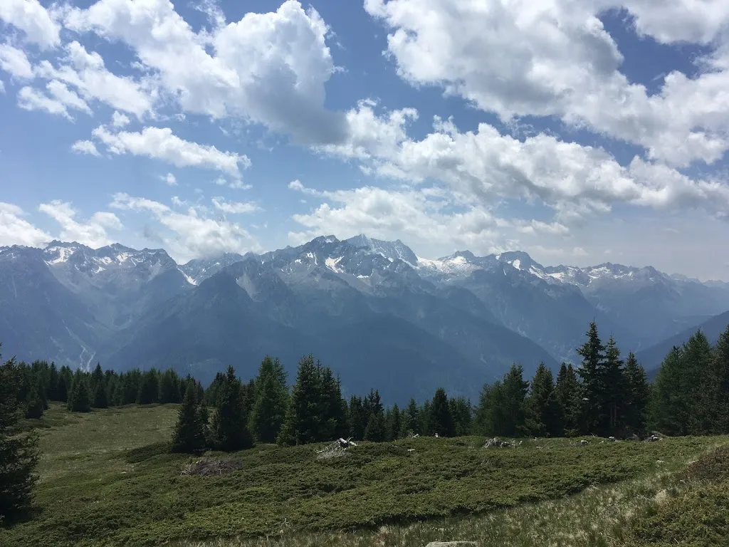 Bastian July_Nestalp_Cogolo_review