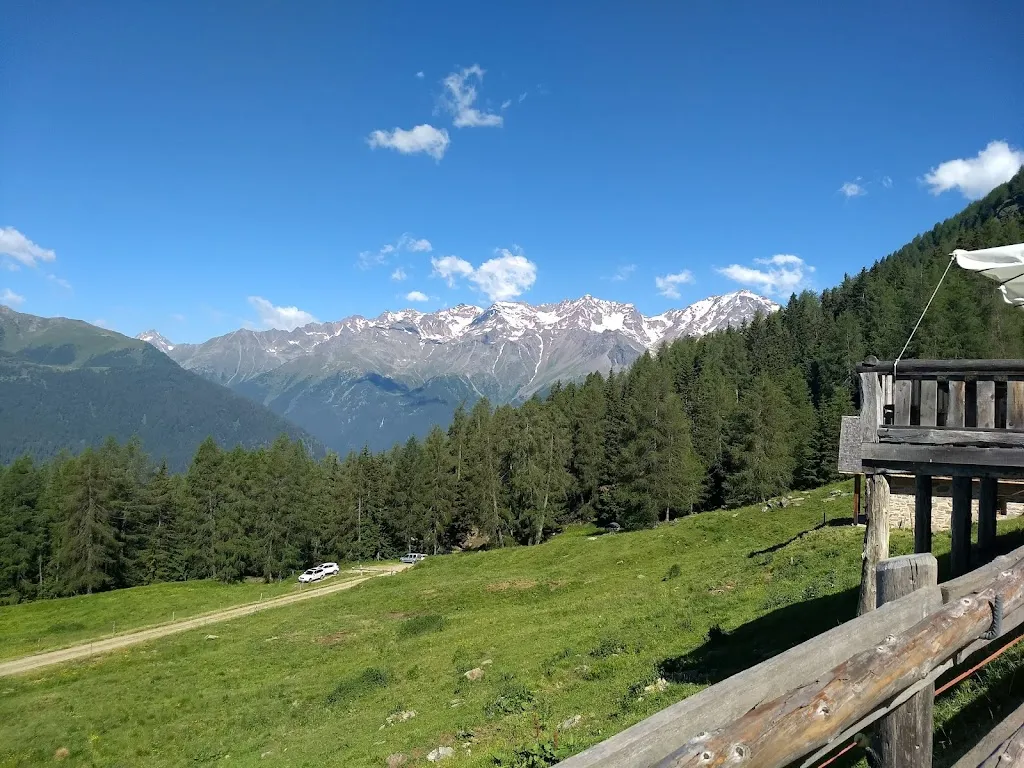 Marco Pavanelli_Nestalp_Cogolo_review